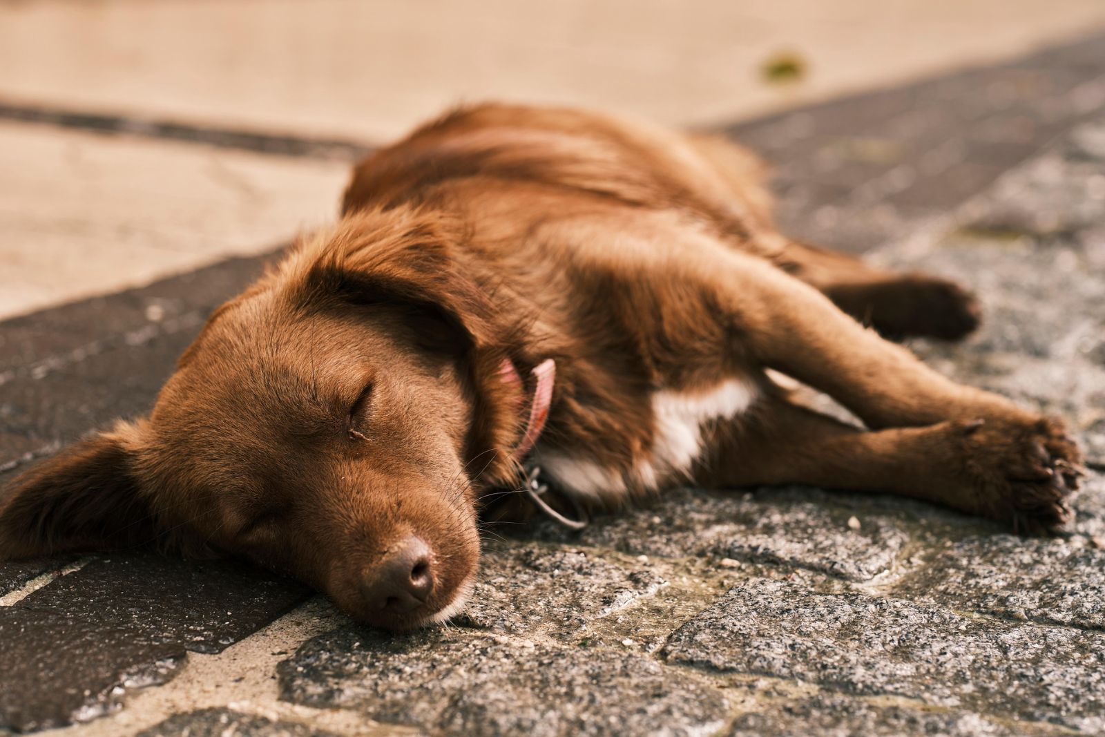 Esempio · Luna, dolce e tranquilla