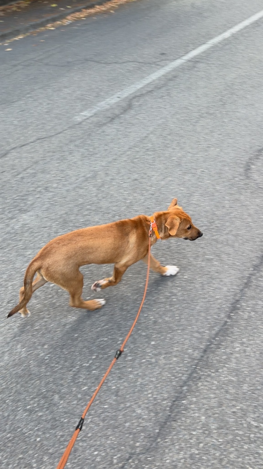 chico cerca casa 2