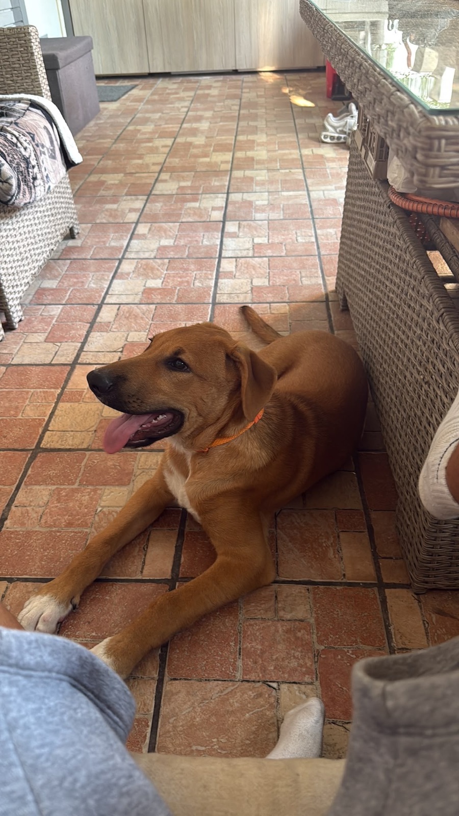 chico cerca casa 3