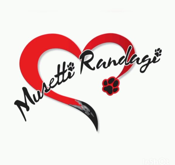 MUSETTI RANDAGI ODV